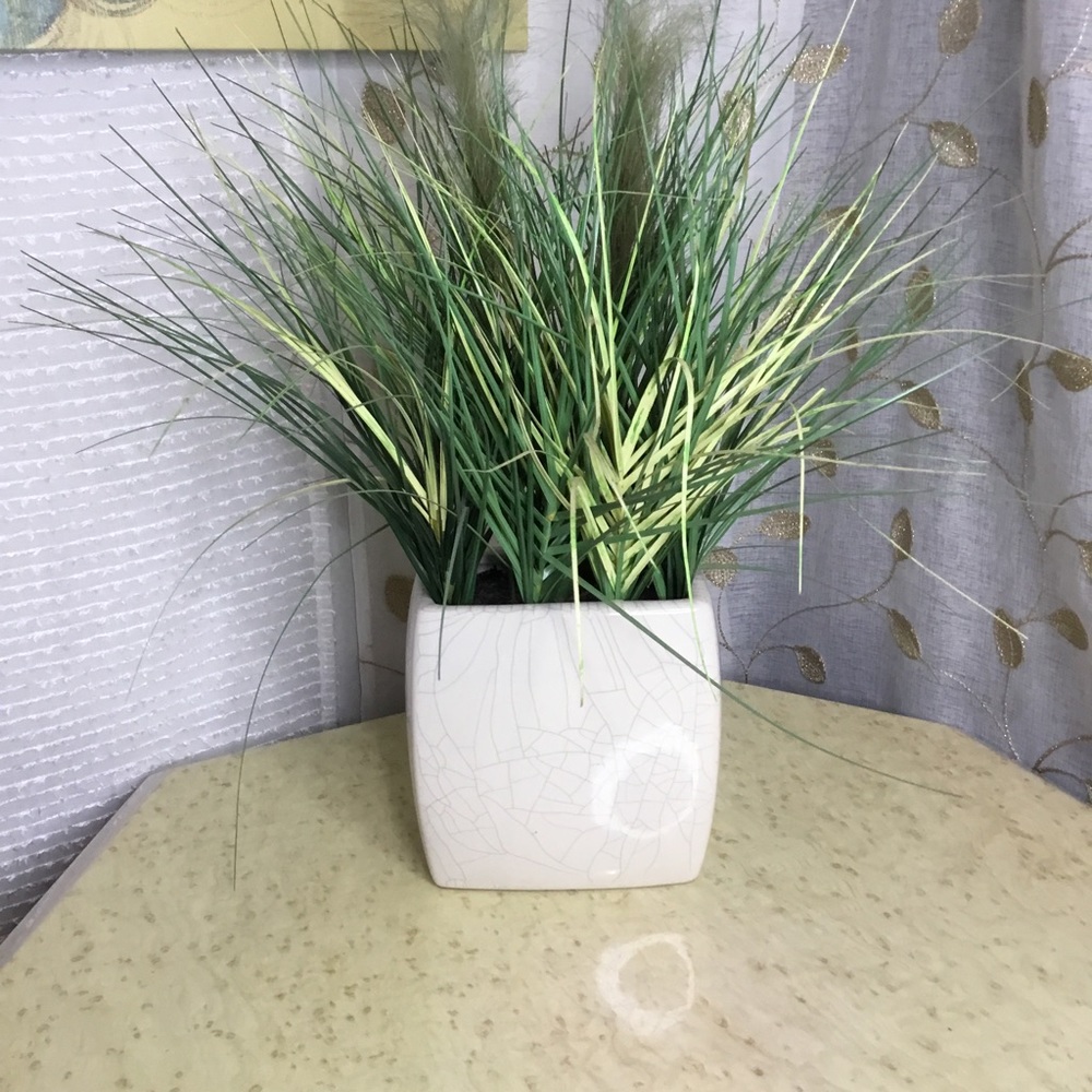 Sonoma Faux Plant in Square Vase
